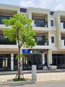 BĐS KĐ – KD Real trở thành đại lý phân phối đầu tiên có văn phòng giao dịch tại đại đô thị Aqua City